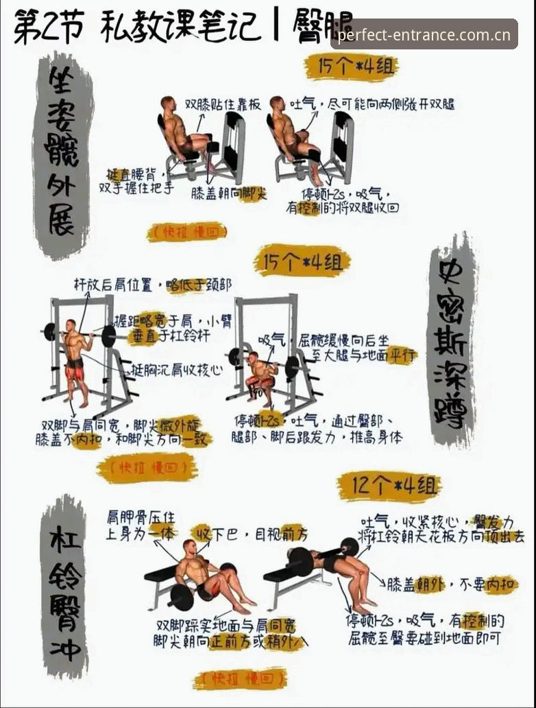 完美体育服务 完美体育服务实用指南:从入门到精通的必备知识